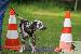 Welpen  23.08.2025 56
